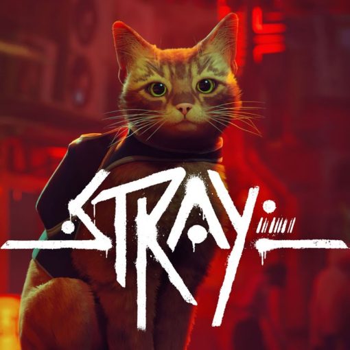cover of the Stray game