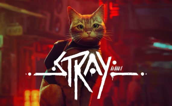 cover of the Stray game